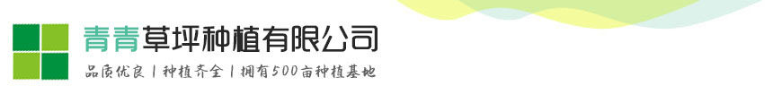 尊龙d88.com集团网站_尊龙网上赌博平台